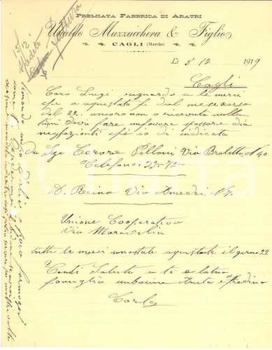 1919 cagli ubaldo - cagli,