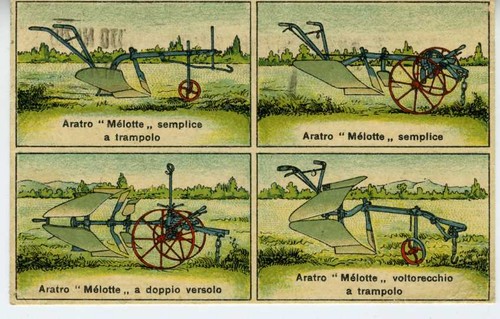 Taddeo giusti modena - giusti,